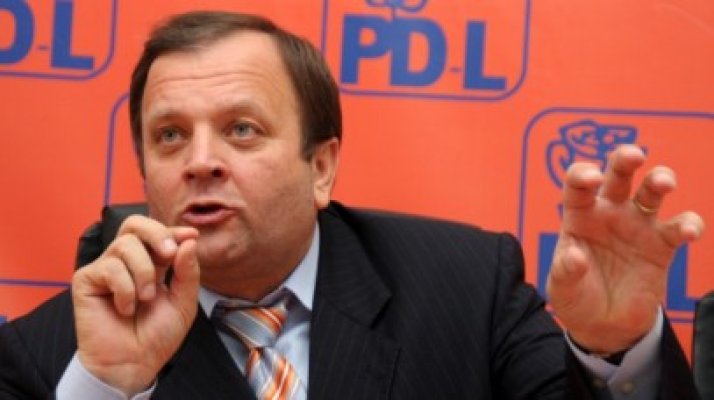 Flutur: Elena Udrea putea candida oricând şi într-un colegiu din Suceava la alegerile parlamentare